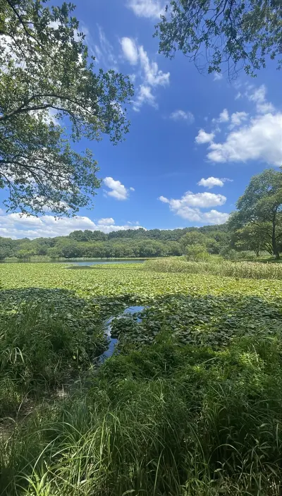 景点真实照片