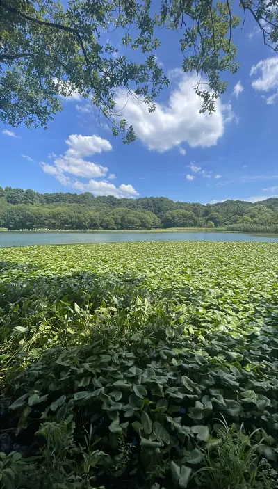 景点真实照片