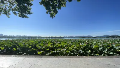 景点真实照片