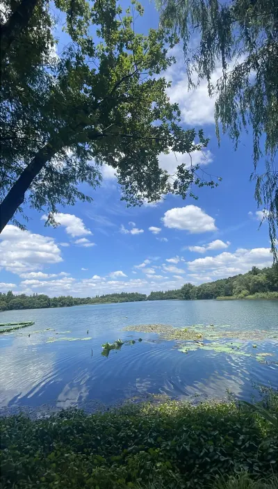 景点真实照片