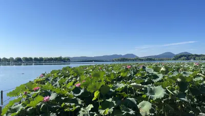 景点真实照片
