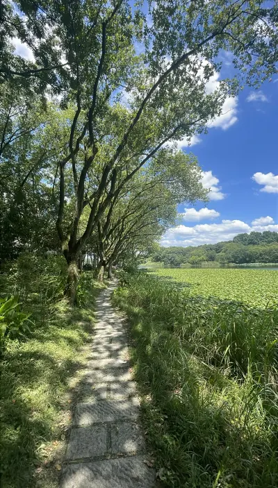 景点真实照片