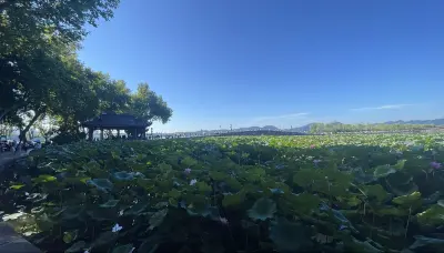 景点真实照片
