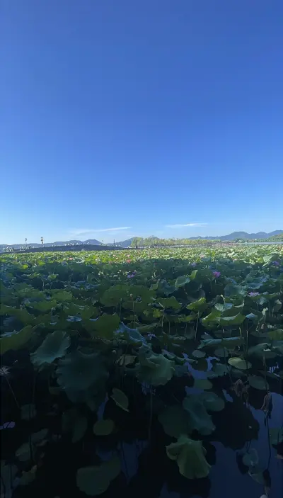 景点真实照片