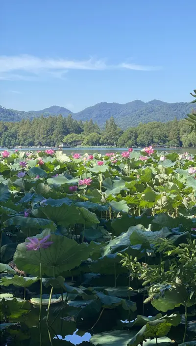 景点真实照片