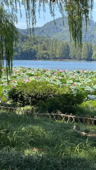 景点真实照片
