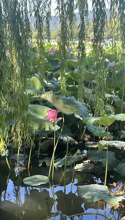 景点真实照片