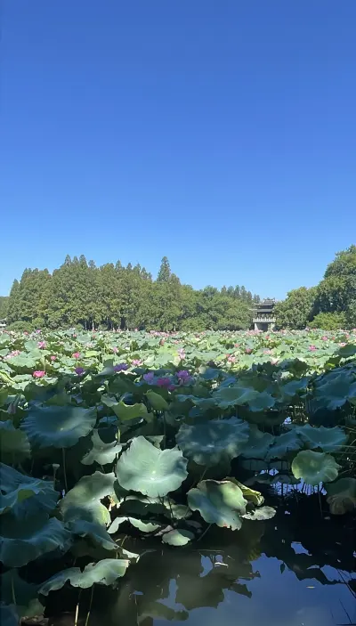 景点真实照片