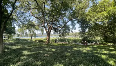 景点真实照片