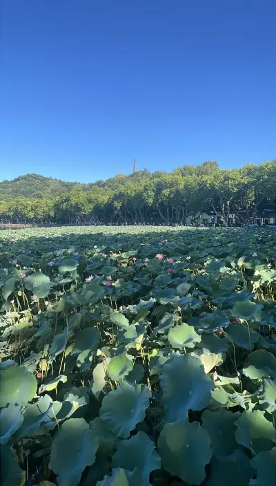 景点真实照片