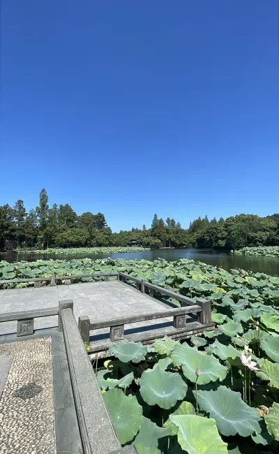 景点真实照片