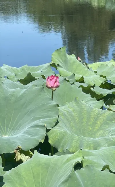 景点真实照片