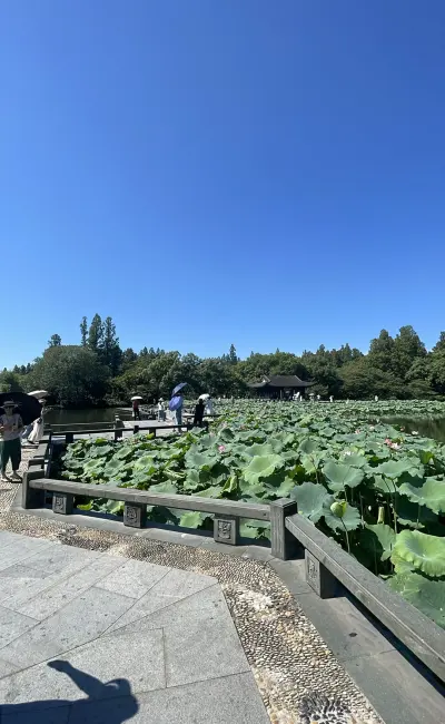 景点真实照片