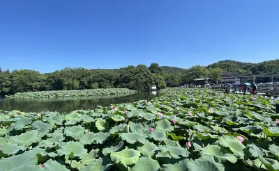 景点真实照片
