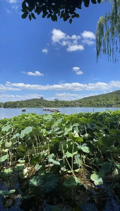 景点真实照片