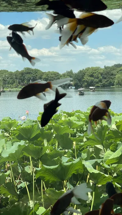 景点真实照片