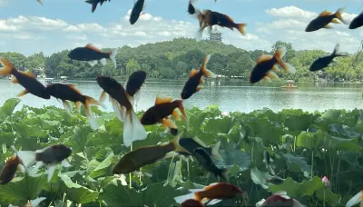 景点真实照片