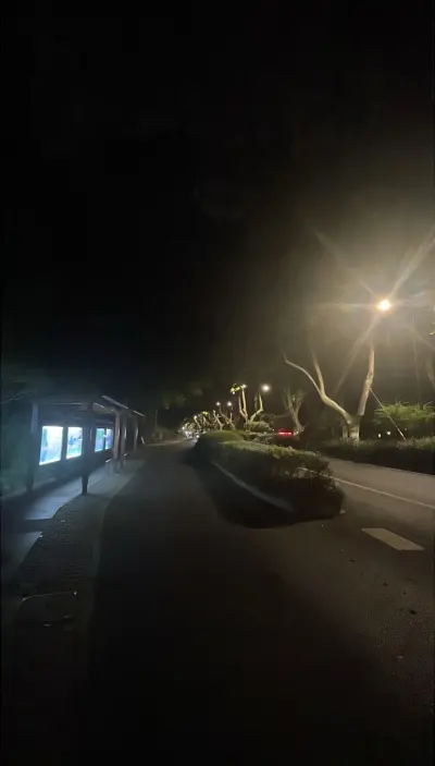 景点真实照片