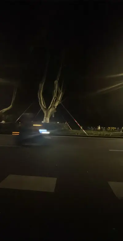 景点真实照片