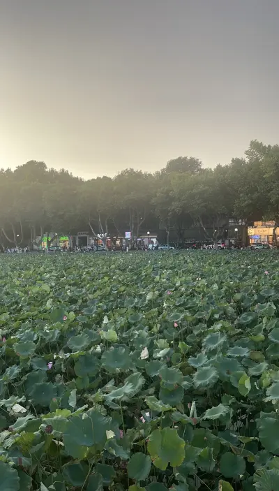 景点真实照片