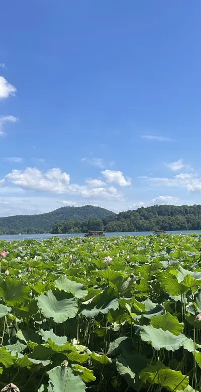 景点真实照片
