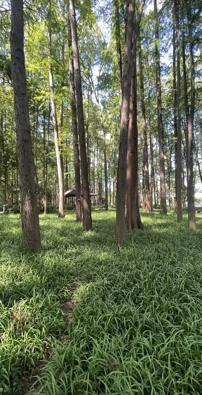 景点真实照片