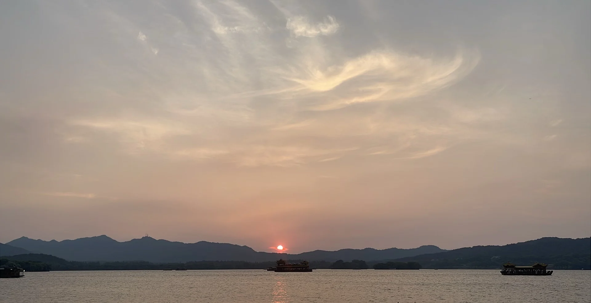 柳浪闻莺 当季实拍
