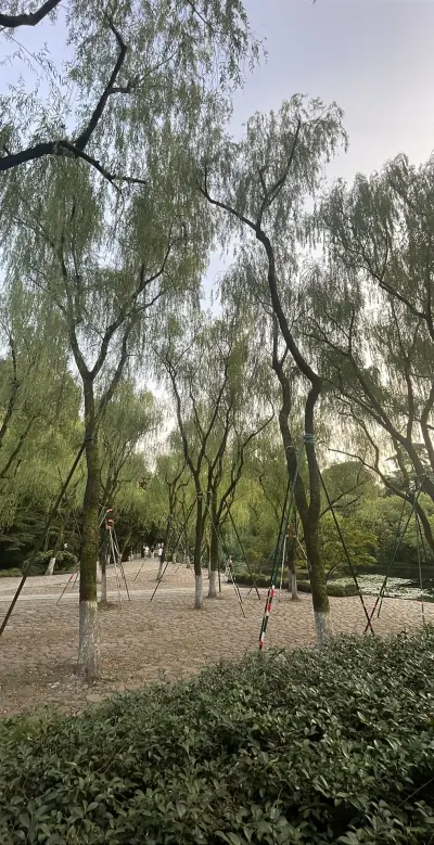 景点真实照片